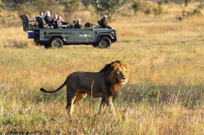 Sabi Sabi Selati Camp