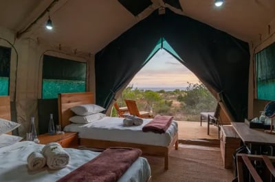 Bedroom at Explorer Camp Shamwari Private Reserve South Africa
