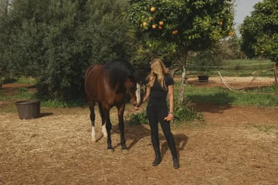 Horses at Viceroy at Ombria Algarve