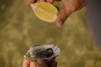 Oysters Viceroy at Ombria Algarve