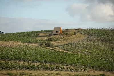 Sacromonte Landscape Wine Hotel