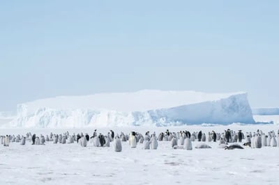 Whichaway Camp Antarctica