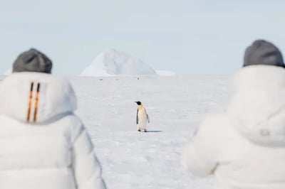 Whichaway Camp Antarctica