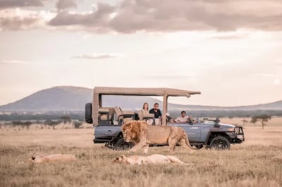 Safari drive at Wilderness Usawa, Tanzania