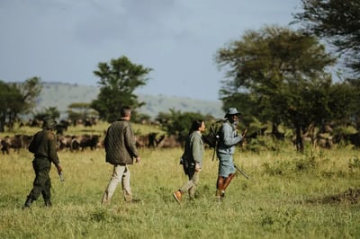 Walking safaris at Wilderness Usawa, Tanzania