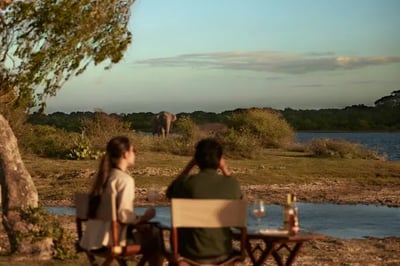 Elephant at Uga Chena Huts, Sri Lanka