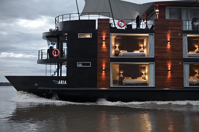 Aria Amazon
