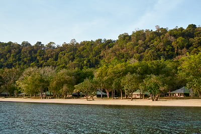 Amanwana