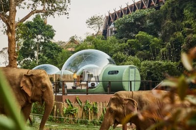Elephant Pod Anantara Golden Triangle Elephant Camp Thailand