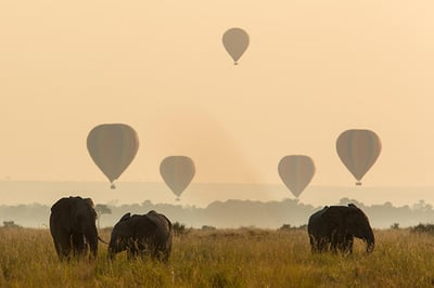 Angama Mara