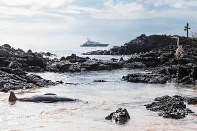 Aqua Mare luxury Yacht holiday Galapagos