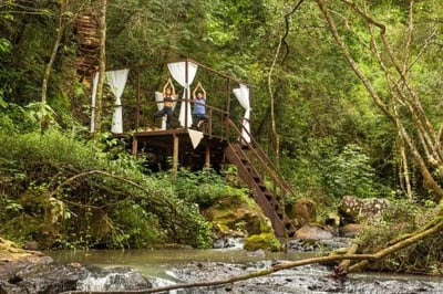 people doing yoga in the rainforest