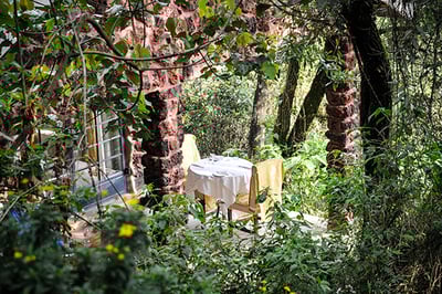 Clouds Mountain Gorilla Lodge
