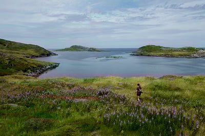Fogo Island Inn