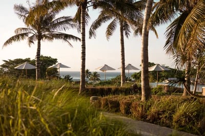 lucious grounds of cap karoso indonesia