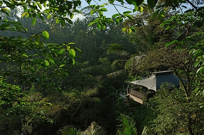 Capella Ubud