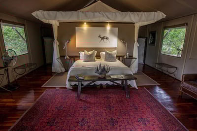 Chitabe Camp