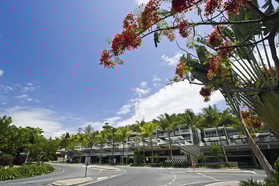 Coconut Grove Port Douglas