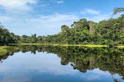 Delfin Peru Amazon River cruise