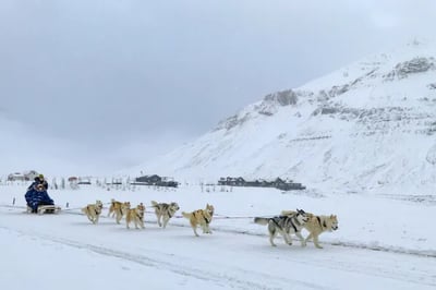 Dog sledding Deplar Farm Iceland