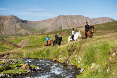 Horse riding in iceland's dramatic landscapes at Deplar Farm Iceland