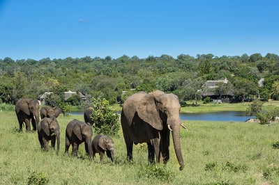 Chitwa Chitwa Lodge