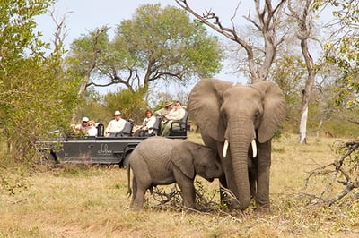 Dulini River Lodge