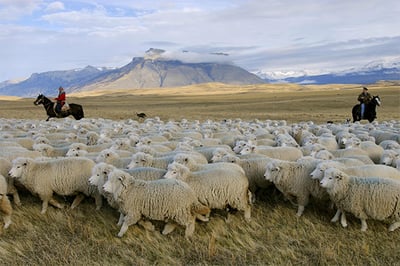 Explora Patagonia