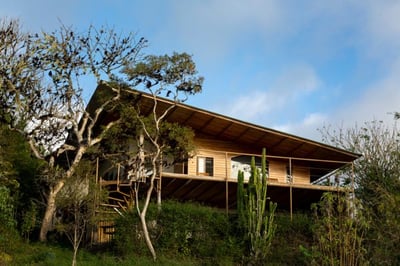 family suite exterior with verandah and surrounding trees at galapagos safari camp