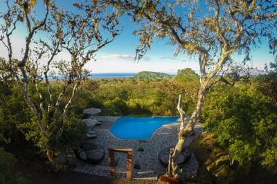 infinity pool overlooking natural landscape at the galapagos safari camp