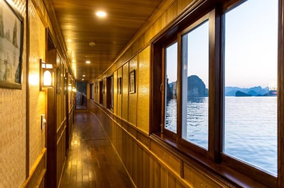 Bhaya Cruise