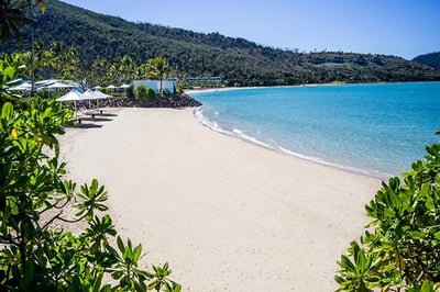InterContinental Hayman Island Resort