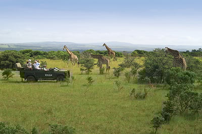 Kariega Settlers Drift Luxury Tented Lodge