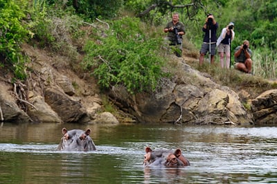 Kariega Settlers Drift Luxury Tented Lodge