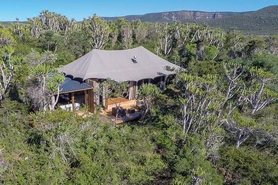 Kariega Settlers Drift Luxury Tented Lodge