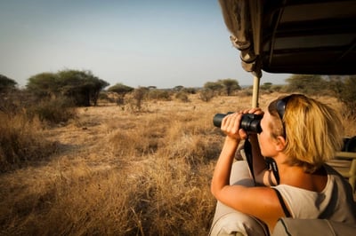Watching wildlife from safari vehicle