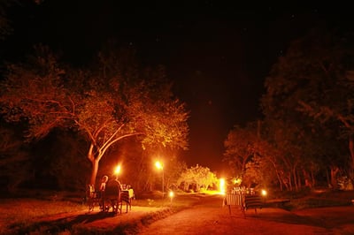 Kulu Safaris