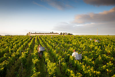 La Chartreuse de Cos d’Estournel