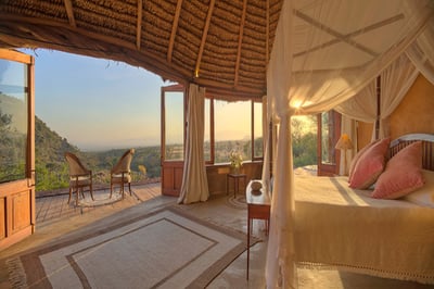 Lewa Wilderness