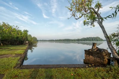 Gardens, Luxury Holidays to Lunuganga, Sri Lanka