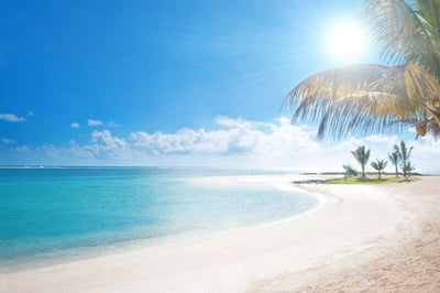 Tropical beach with palm trees and turquoise waters