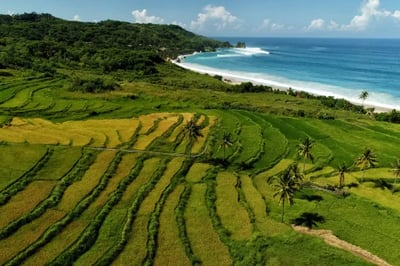 NIHI Sumba