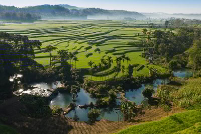 lush landscapes of Sumba indonesia