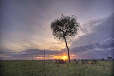 Richard's Camp