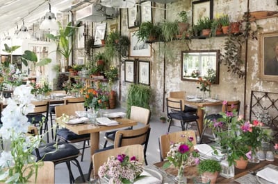 pop-up dining in a green house The grove