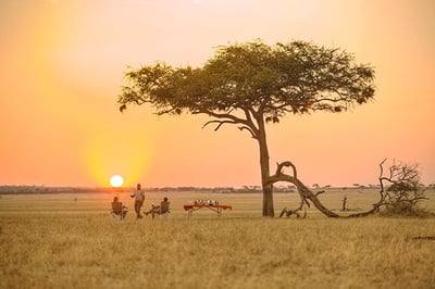 Ubuntu Camp