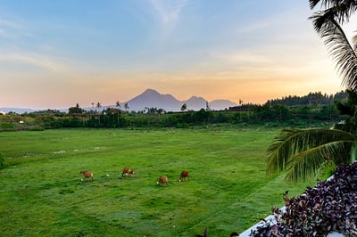 Villa Vedas