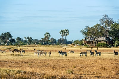 Xigera Safari Lodge