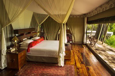 Zarafa Camp