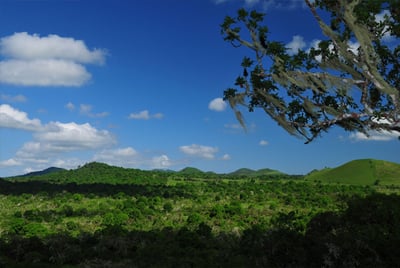 surrounding landscape of the galapagos highlands